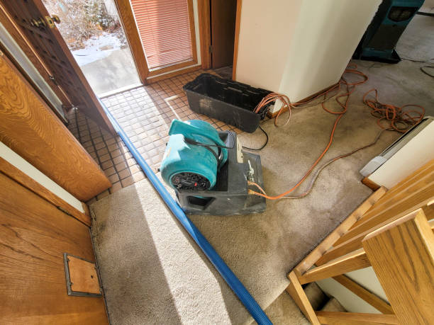Trusted Mountainhome, PA Water damage restoration Experts