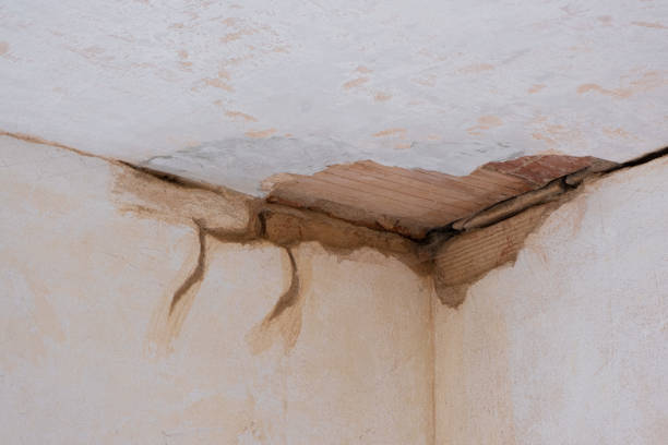 Best Water damage cleanup near me  in Mountainhome, PA