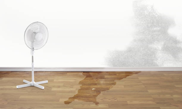 Best Flood damage cleanup  in Mountainhome, PA