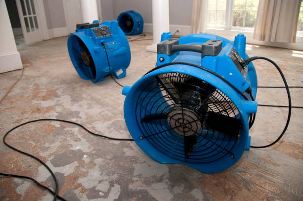 Best Fire Damage Restoration  in Mountainhome, PA