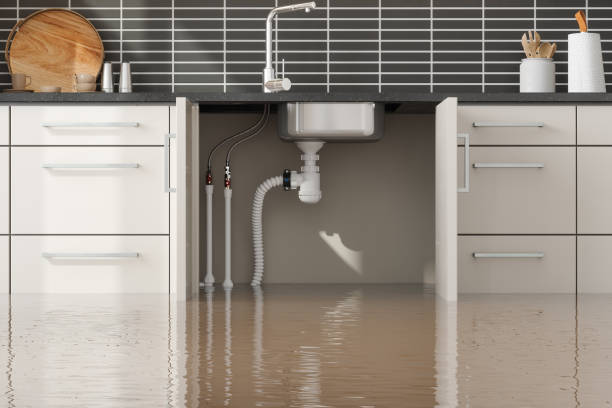 Best Water damage restoration company  in Mountainhome, PA