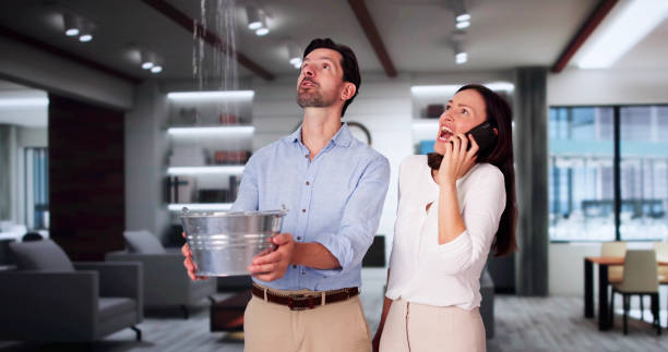 Best Water damage contractors near me  in Mountainhome, PA