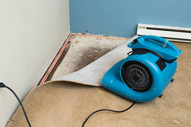 Best Professional water damage repair  in Mountainhome, PA